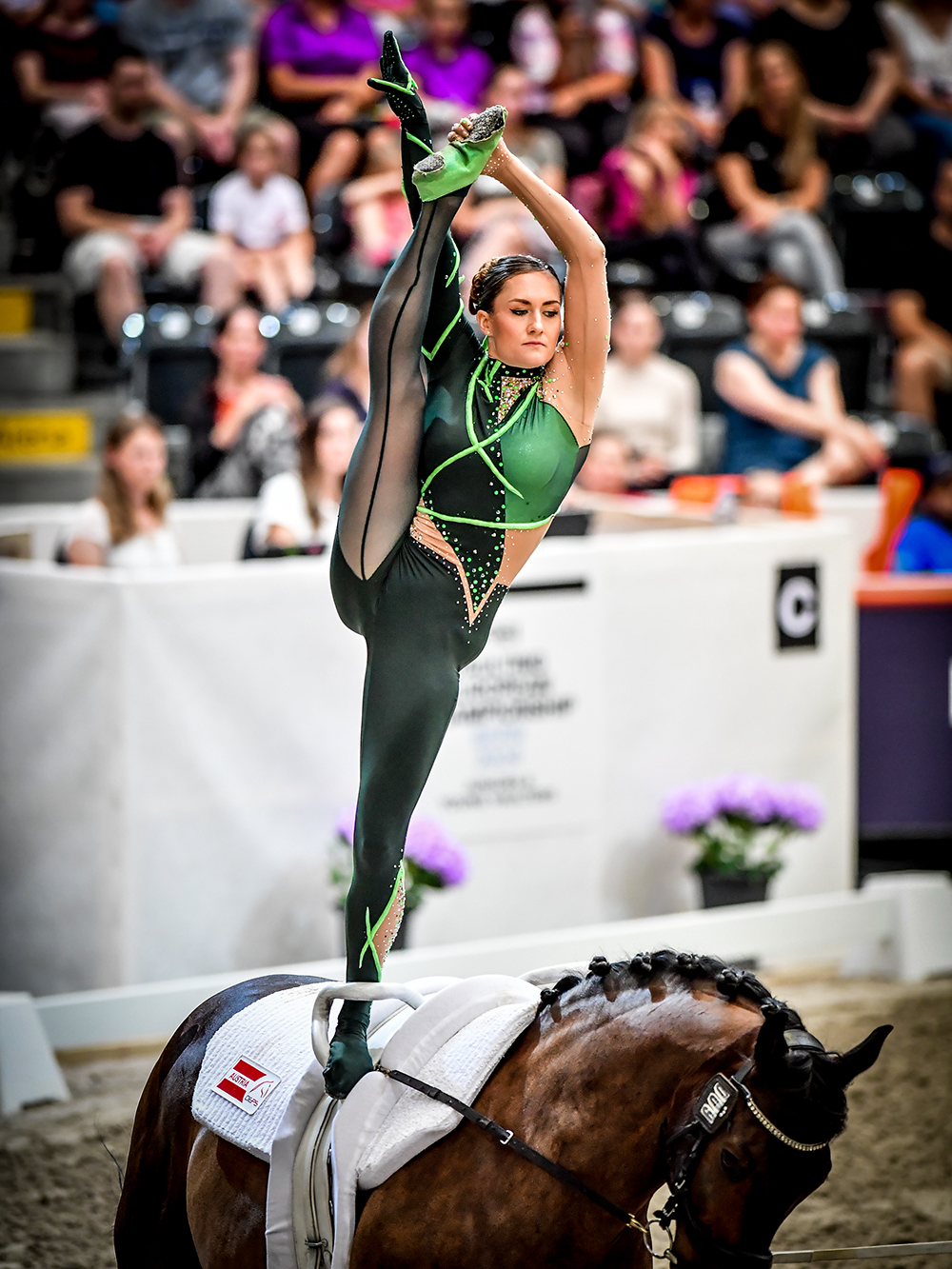 VAULTING CHAMPIONSHIPS BERN 2024