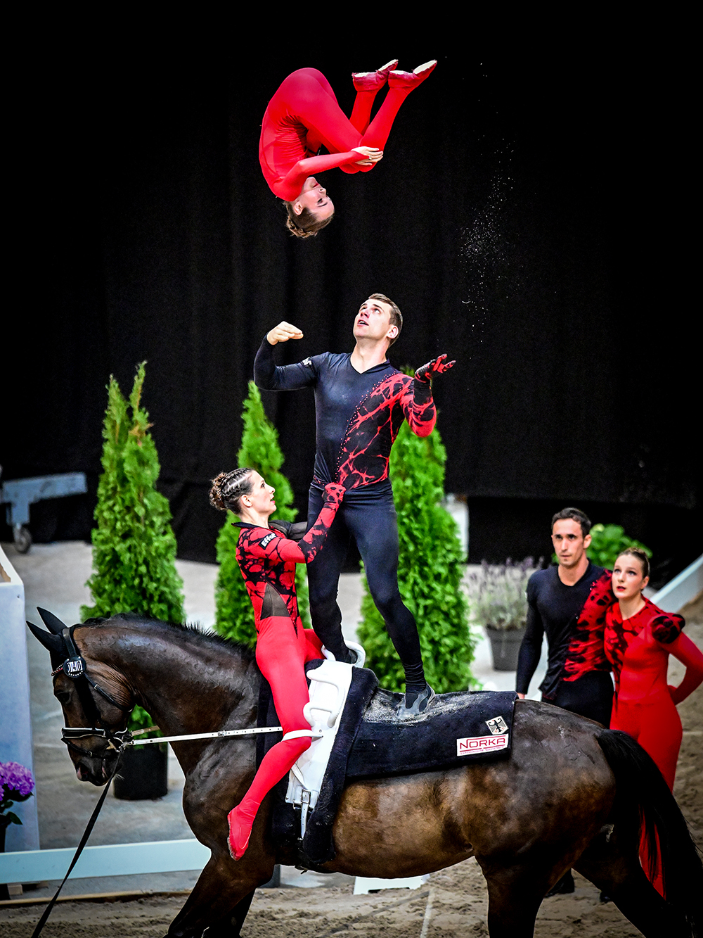 VAULTING CHAMPIONSHIPS BERN 2024
